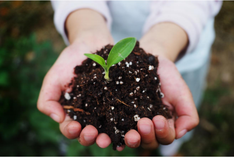 巴斯夫攜手彤程新材料集團在中國合作生產(chǎn)經(jīng) 認 證可堆 肥共聚酯 (PBAT)(圖2)