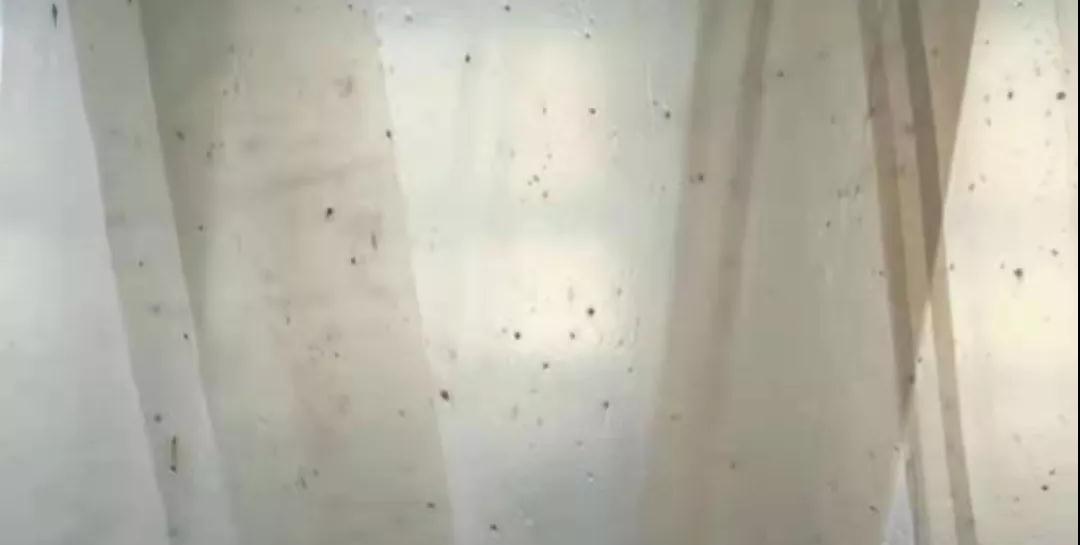 PBAT膜袋有黑點(diǎn)是什么原因？(圖1)